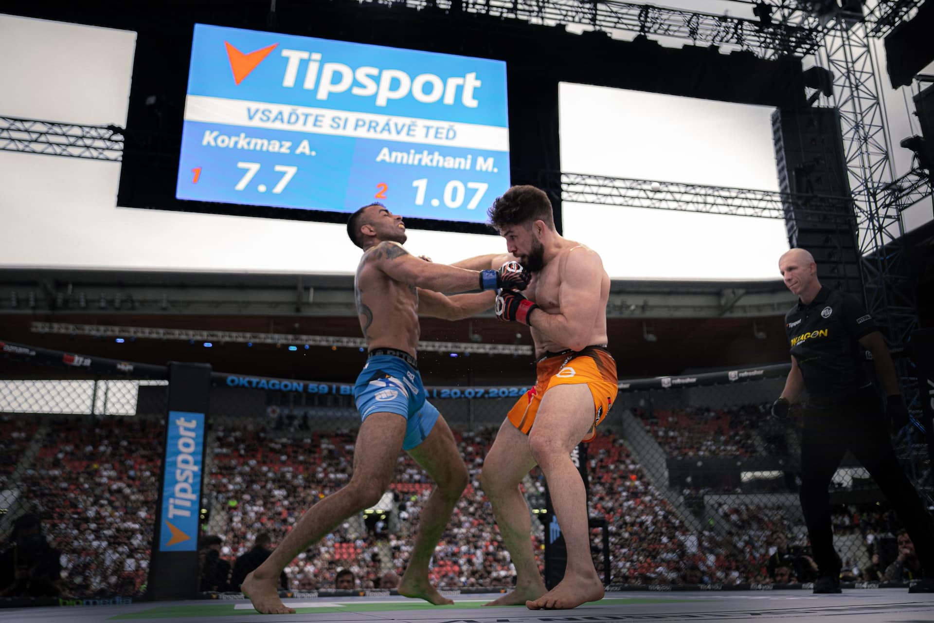 MMA-Aufnahme von mojo (4)