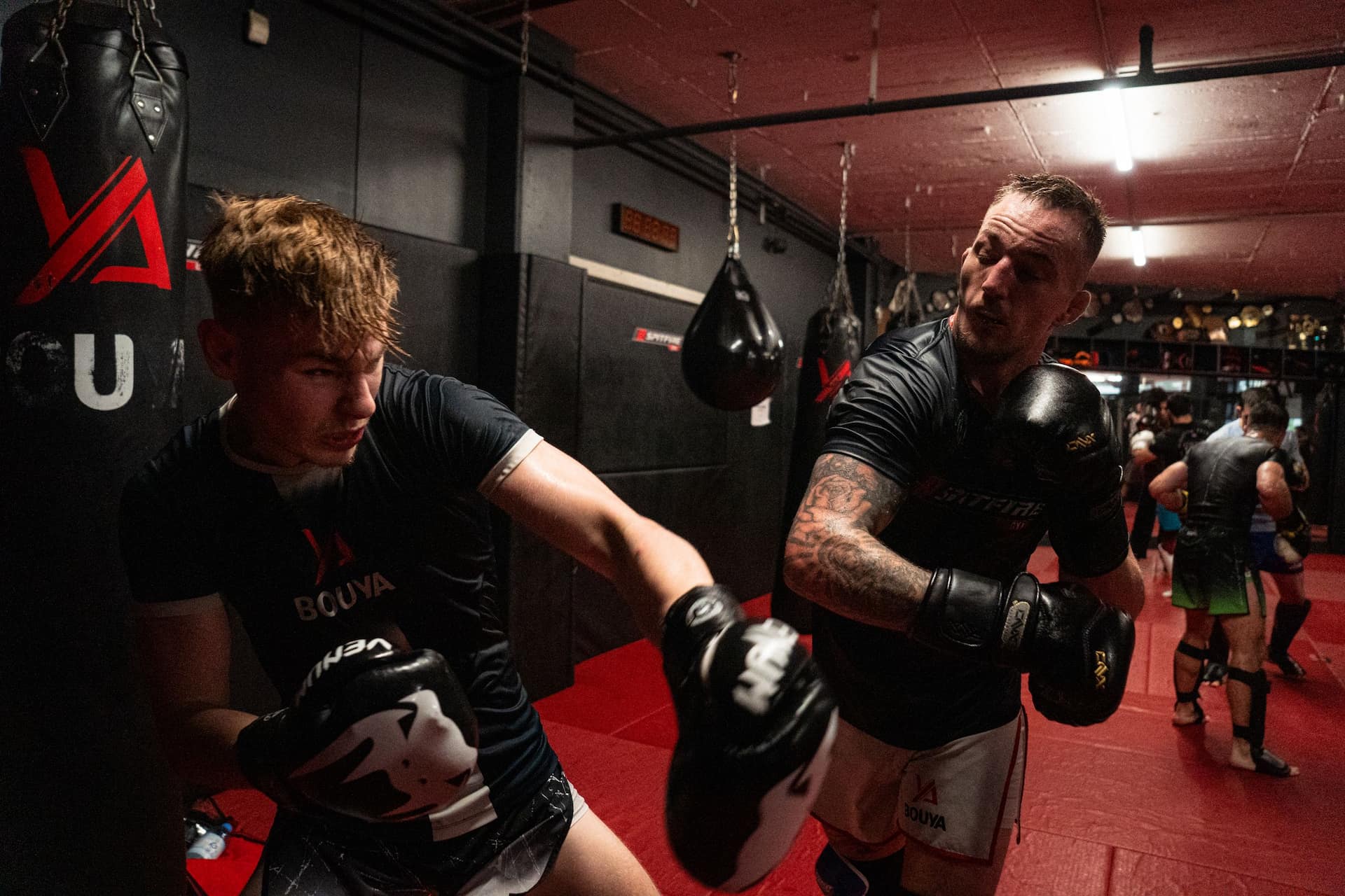 MMA-Aufnahme von mojo (5)