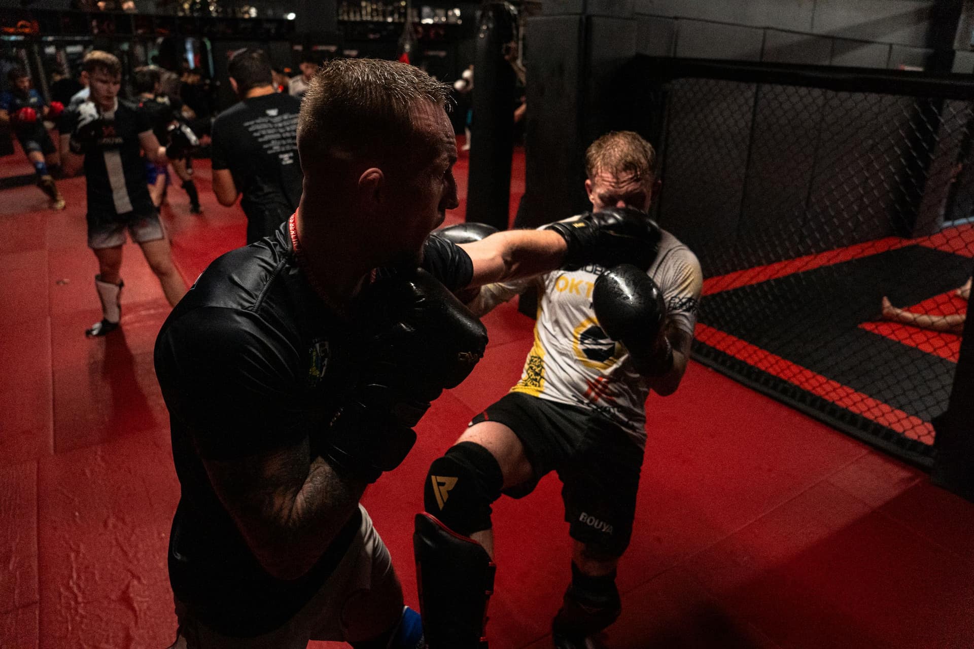 MMA-Aufnahme von mojo (7)