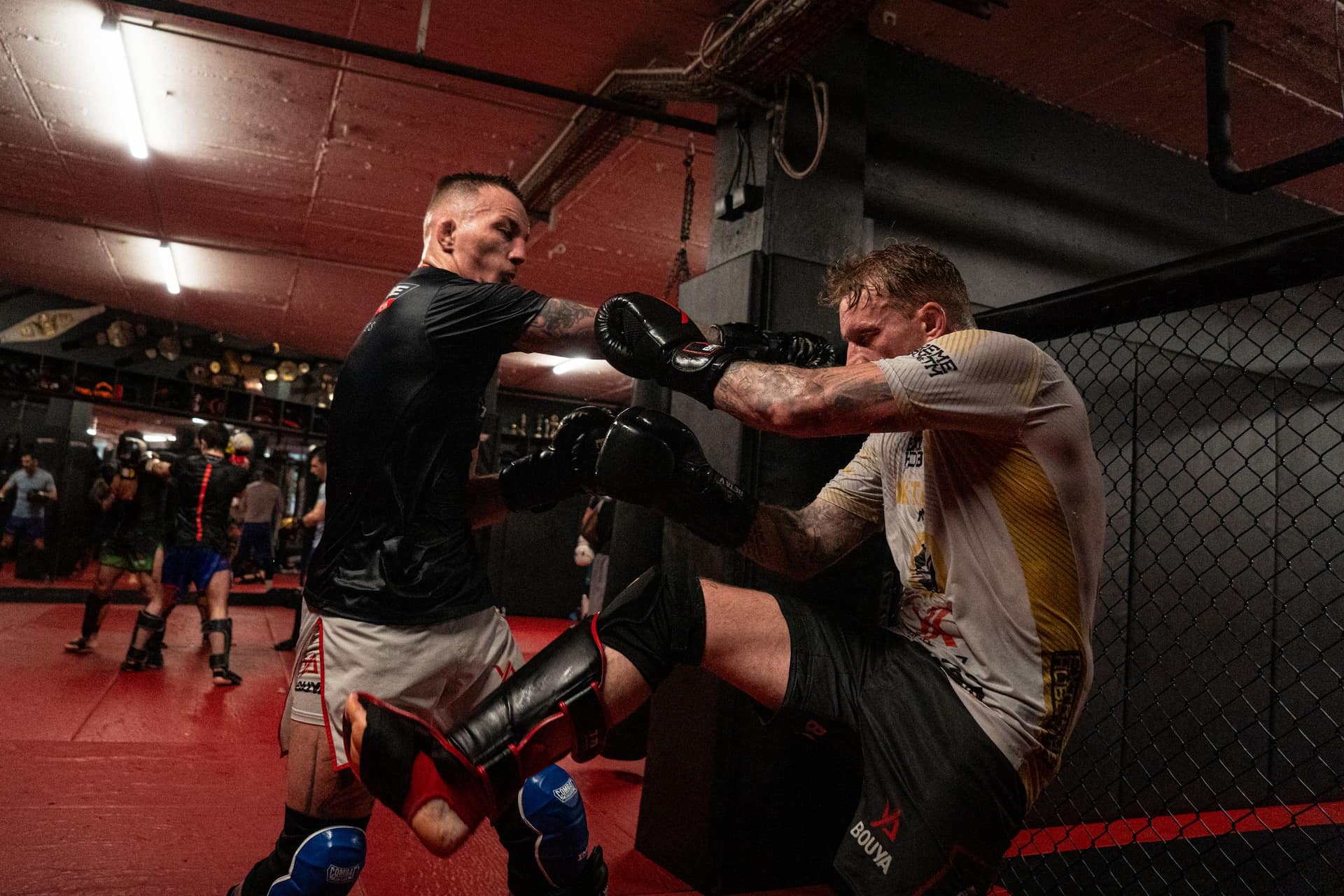 MMA-Aufnahme von mojo (8)