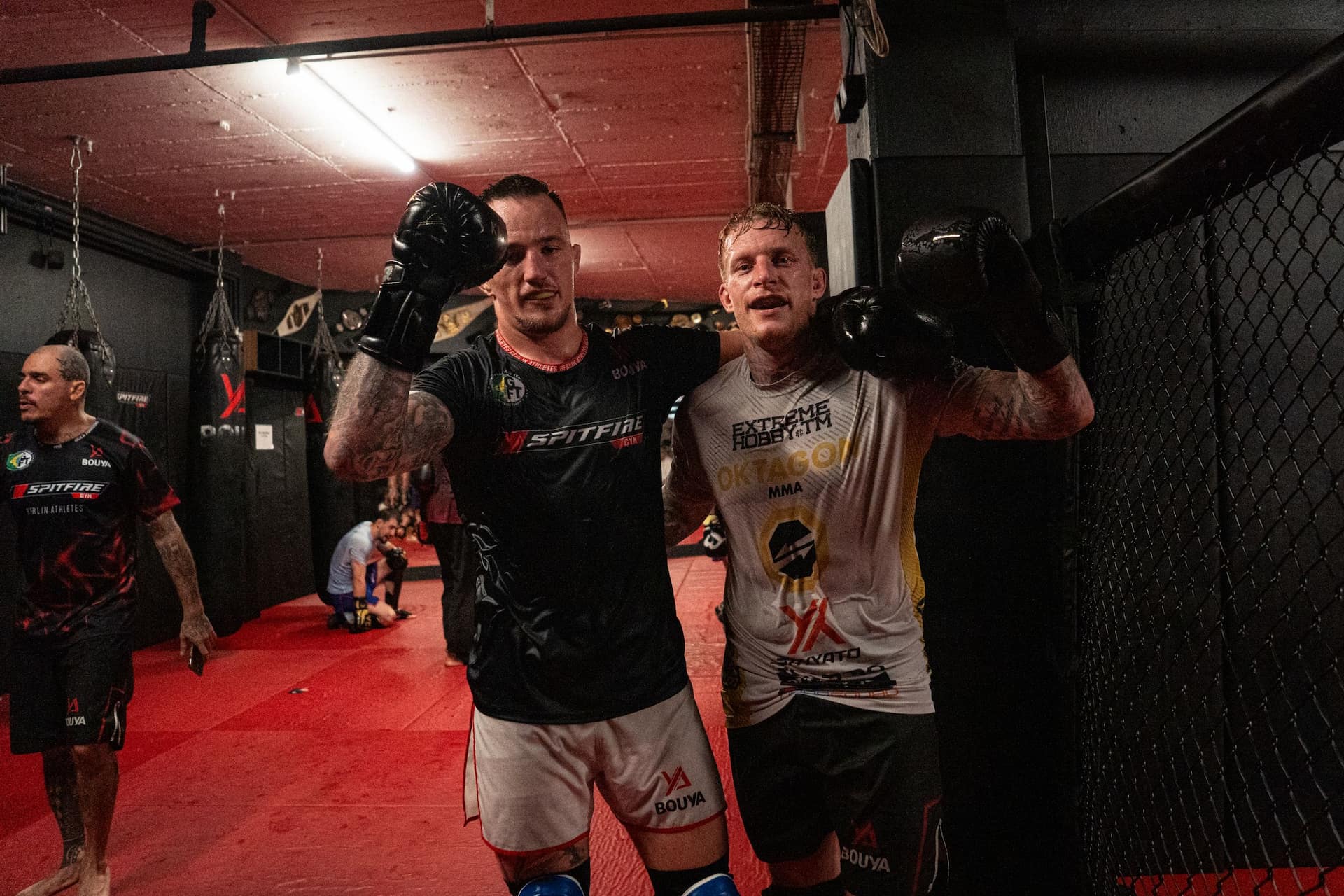 MMA-Aufnahme von mojo (10)