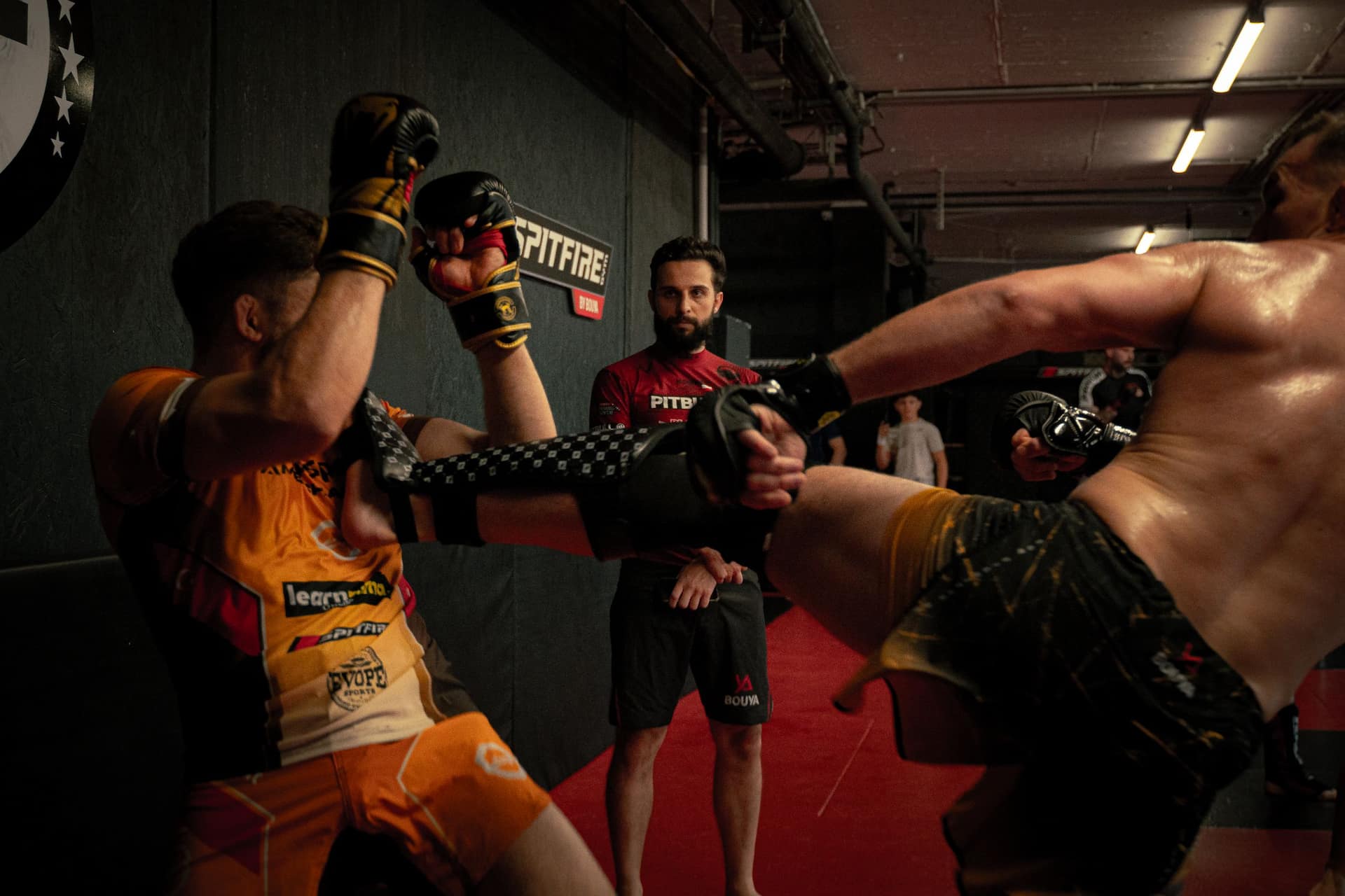 MMA-Aufnahme von mojo (15)