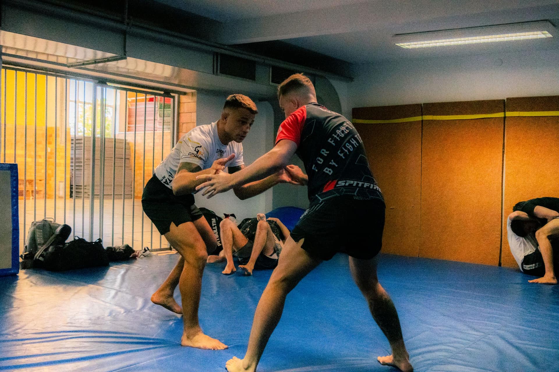 MMA-Aufnahme von mojo (20)